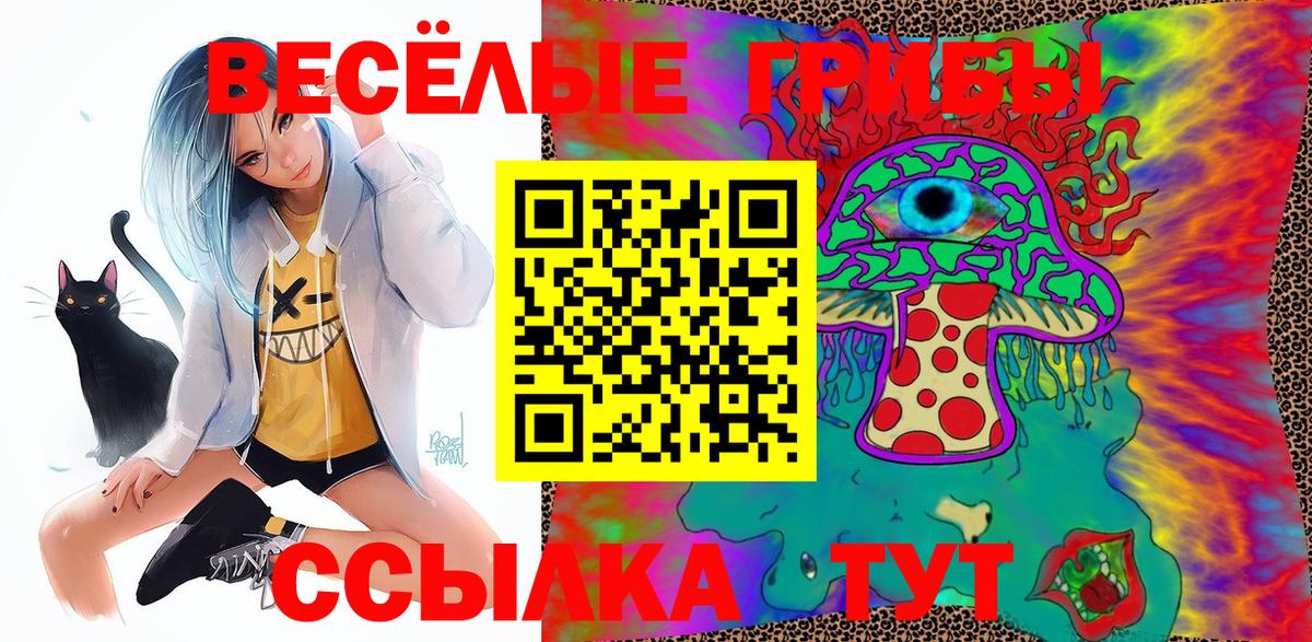 Галлюциногенные грибы GOLDEN TEACHER  Вход с VPN  Галлюциногенные грибы Cubensis  Знаменск 