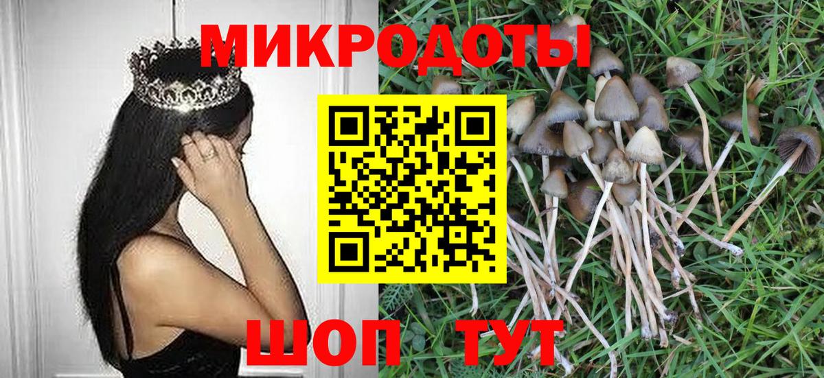 Псилоцибиновые грибы Psilocybine cubensis Знаменск